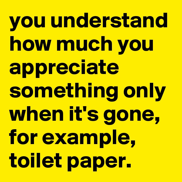 you understand how much you appreciate something only when it's gone,
for example, toilet paper.