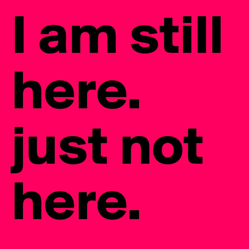 I am still here. just not here. 