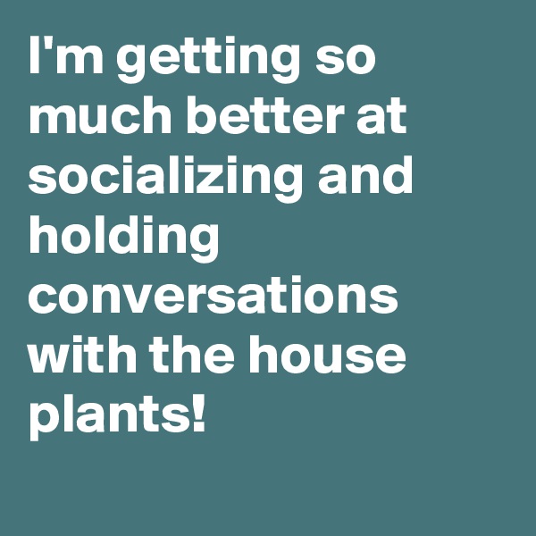 I'm getting so much better at socializing and holding conversations with the house plants!
