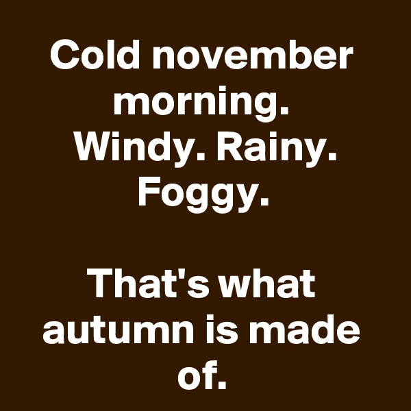 Cold november morning.
Windy. Rainy. Foggy.

That's what autumn is made of.