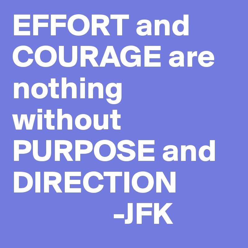 EFFORT and COURAGE are nothing without PURPOSE and DIRECTION
                -JFK
