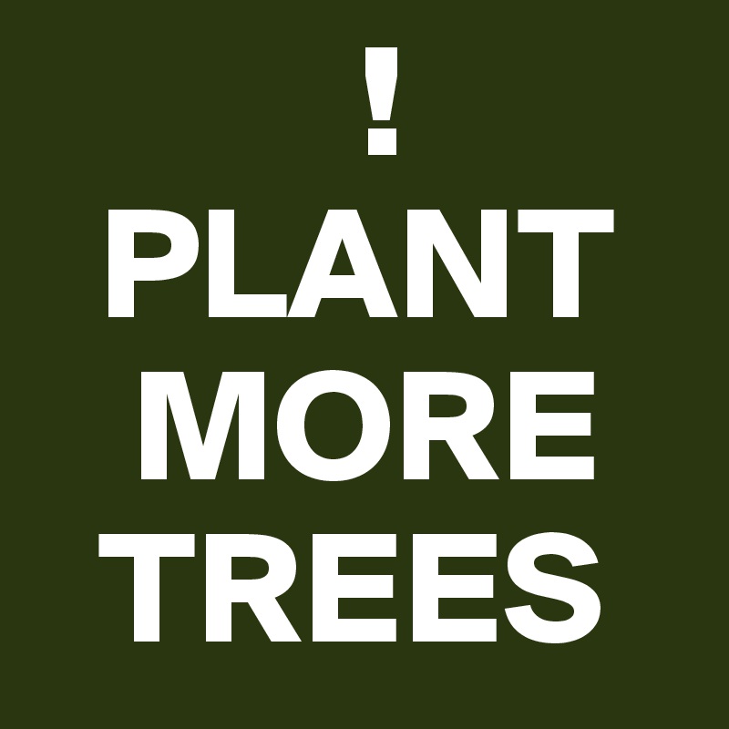           !
  PLANT
   MORE
  TREES