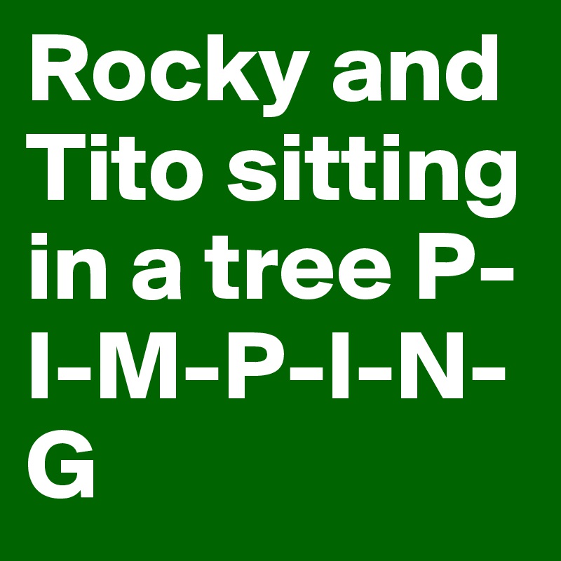 Rocky and Tito sitting in a tree P-I-M-P-I-N-G