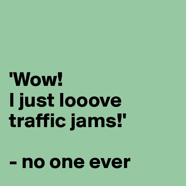 


'Wow!
I just looove traffic jams!'

- no one ever