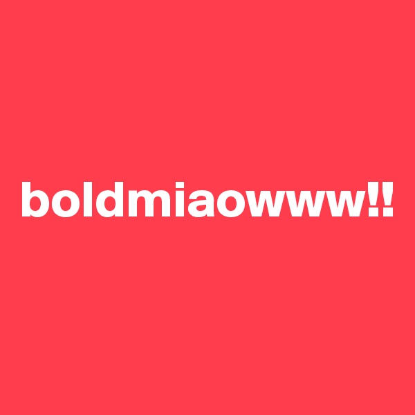


boldmiaowww!!

