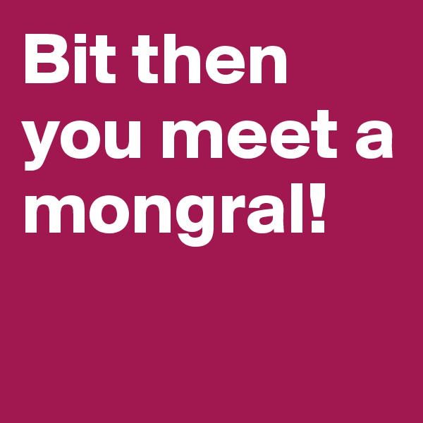 Bit then you meet a mongral!

