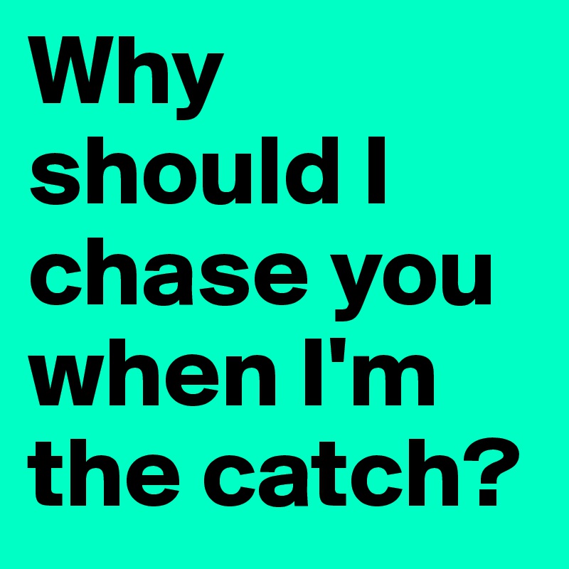 Why should I chase you when I'm the catch?