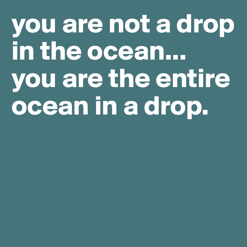 you are not a drop in the ocean...
you are the entire ocean in a drop.



