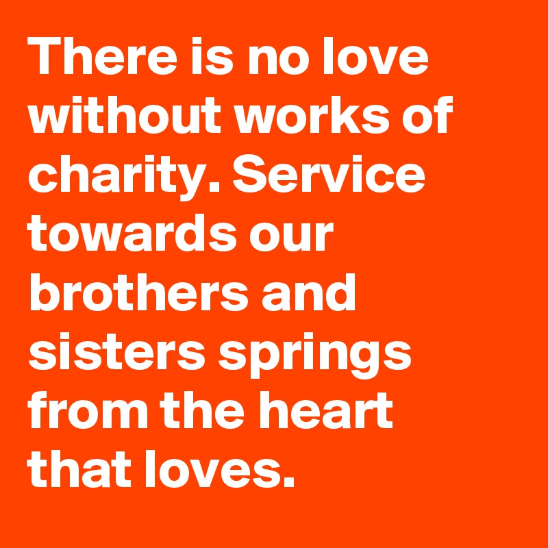 There is no love without works of charity. Service towards our brothers and sisters springs from the heart that loves.
