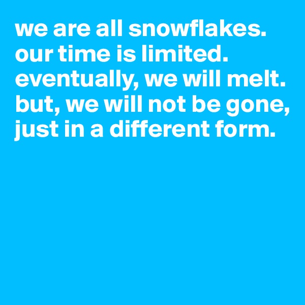 we are all snowflakes. 
our time is limited. 
eventually, we will melt. 
but, we will not be gone, 
just in a different form. 




