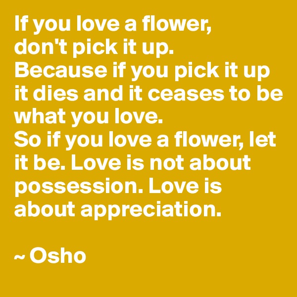 If you love a flower, 
don't pick it up. 
Because if you pick it up it dies and it ceases to be 
what you love. 
So if you love a flower, let it be. Love is not about possession. Love is about appreciation.

~ Osho