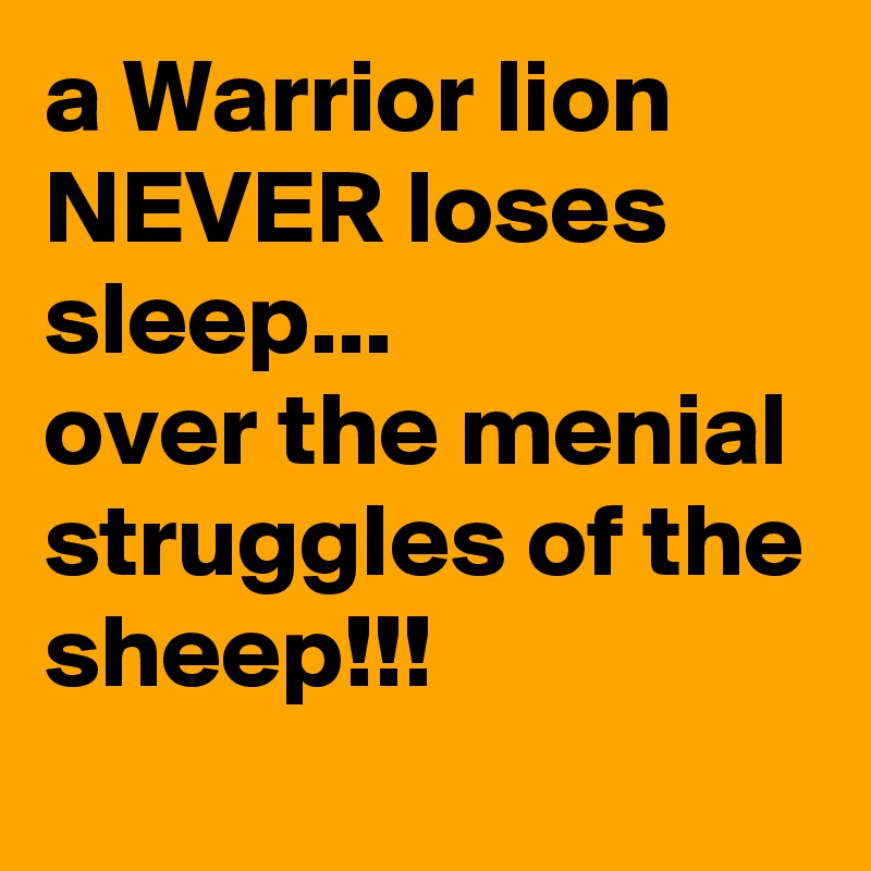 a Warrior lion NEVER loses sleep...
over the menial struggles of the sheep!!!

