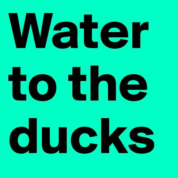 Water to the ducks