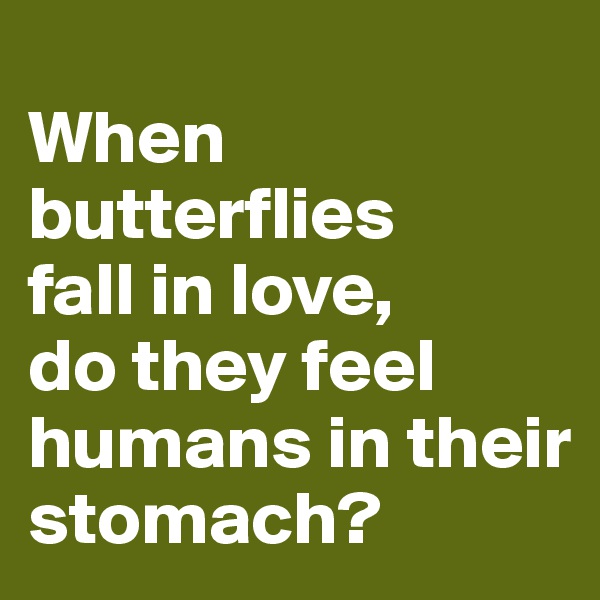 
When butterflies
fall in love,
do they feel humans in their
stomach?