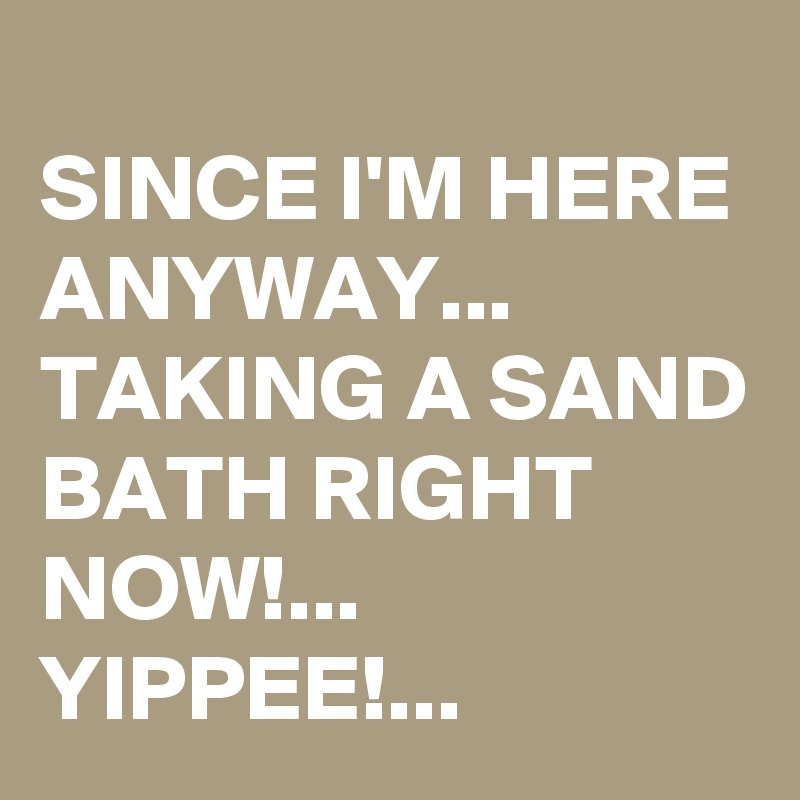
SINCE I'M HERE ANYWAY...
TAKING A SAND BATH RIGHT NOW!...
YIPPEE!...