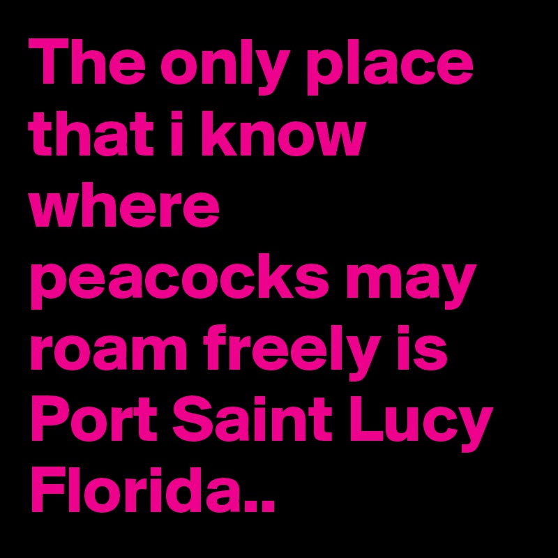 The only place that i know where peacocks may roam freely is Port Saint Lucy Florida..