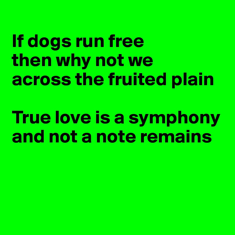
If dogs run free
then why not we
across the fruited plain

True love is a symphony
and not a note remains



