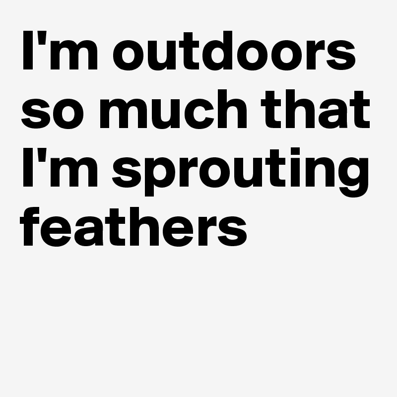 I'm outdoors so much that I'm sprouting feathers

