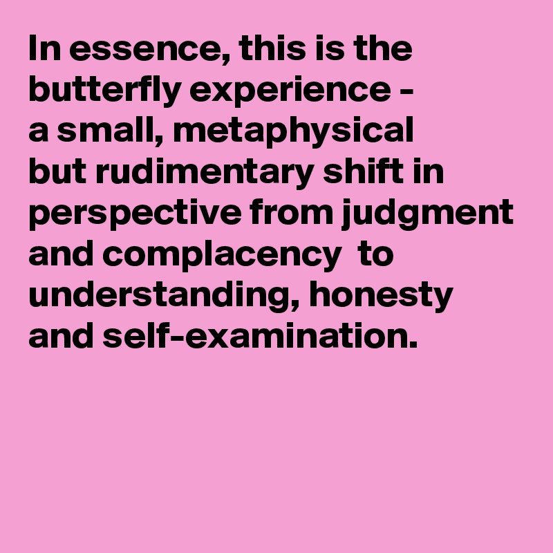 In essence, this is the butterfly experience - 
a small, metaphysical
but rudimentary shift in perspective from judgment and complacency  to understanding, honesty and self-examination.



