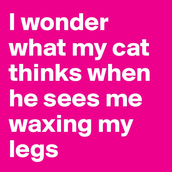 I wonder what my cat thinks when he sees me waxing my legs