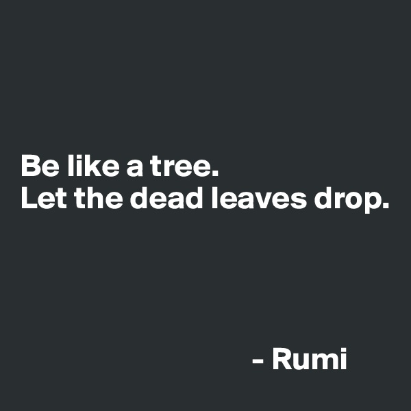 



Be like a tree. 
Let the dead leaves drop.




                                    - Rumi