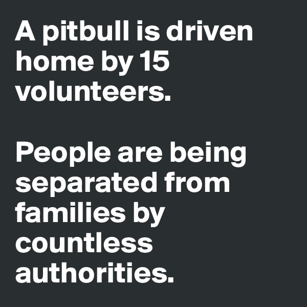 A pitbull is driven home by 15 volunteers. 

People are being separated from families by countless authorities.