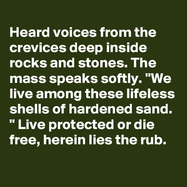 
Heard voices from the crevices deep inside rocks and stones. The mass speaks softly. "We live among these lifeless shells of hardened sand. " Live protected or die free, herein lies the rub.
