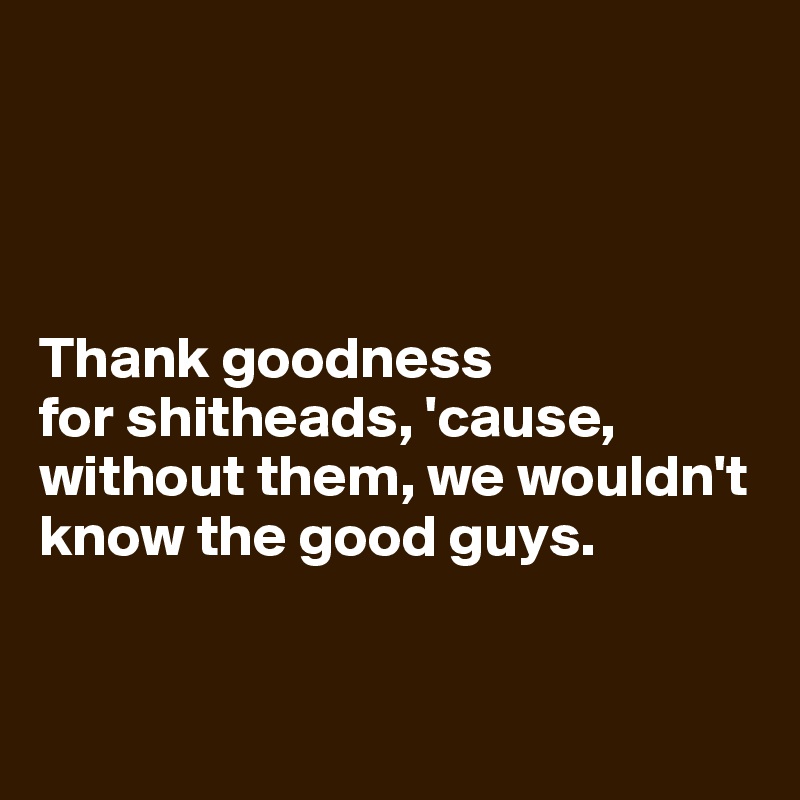 




Thank goodness 
for shitheads, 'cause, without them, we wouldn't know the good guys. 


