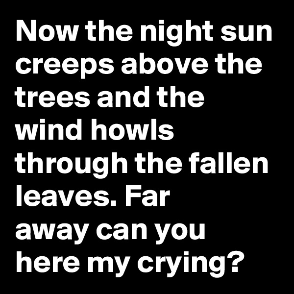 Now the night sun creeps above the trees and the wind howls through the fallen leaves. Far
away can you here my crying?