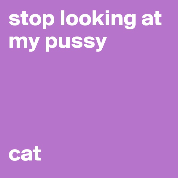 stop looking at my pussy




cat