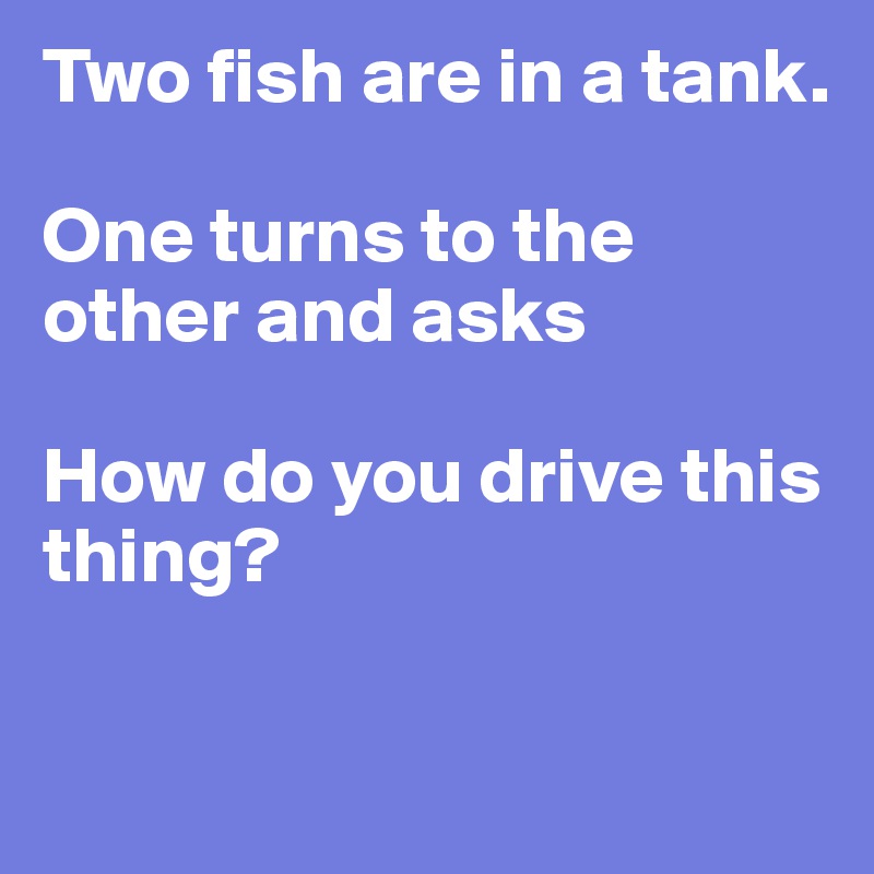 Two fish are in a tank. 

One turns to the other and asks 

How do you drive this thing?

