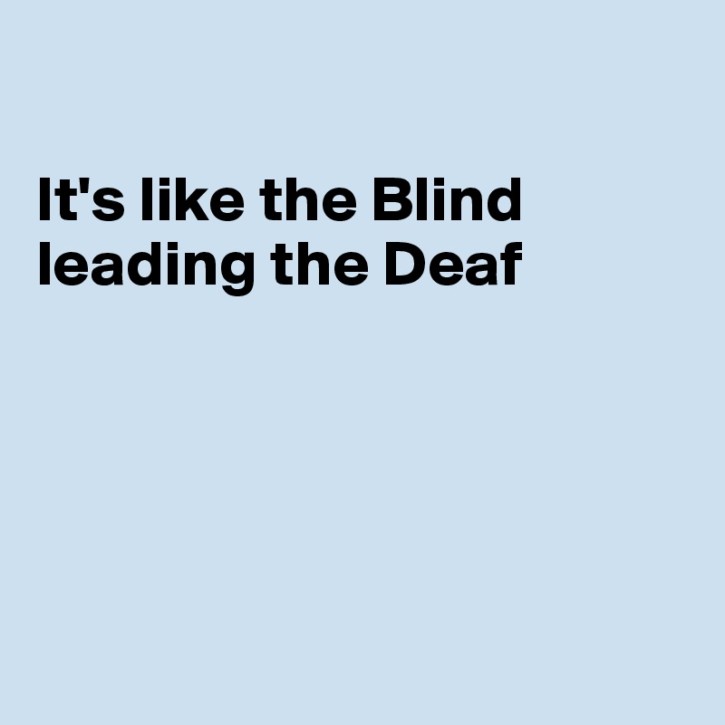 

It's like the Blind leading the Deaf





