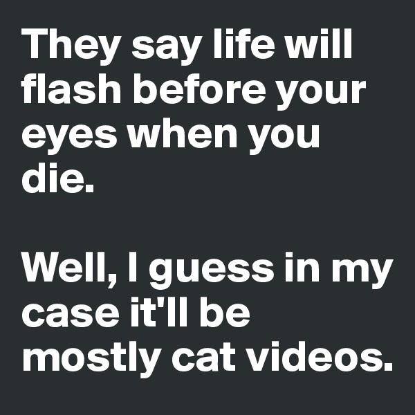 They say life will flash before your eyes when you die. 

Well, I guess in my case it'll be mostly cat videos.