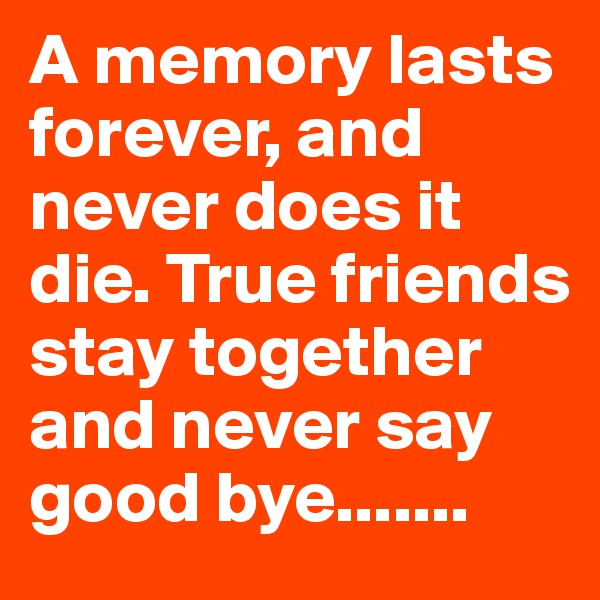 A memory lasts forever, and never does it die. True friends stay together and never say good bye.......