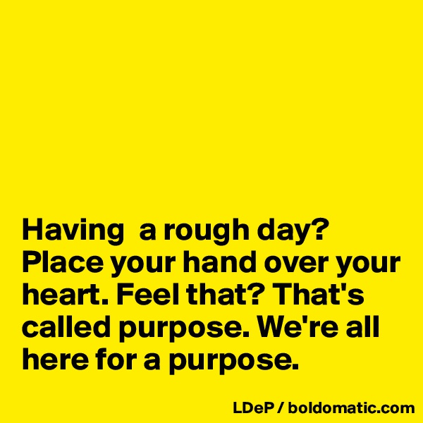 





Having  a rough day? Place your hand over your heart. Feel that? That's called purpose. We're all here for a purpose. 