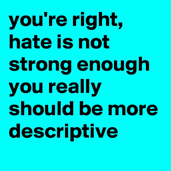 you're right, hate is not strong enough you really should be more descriptive