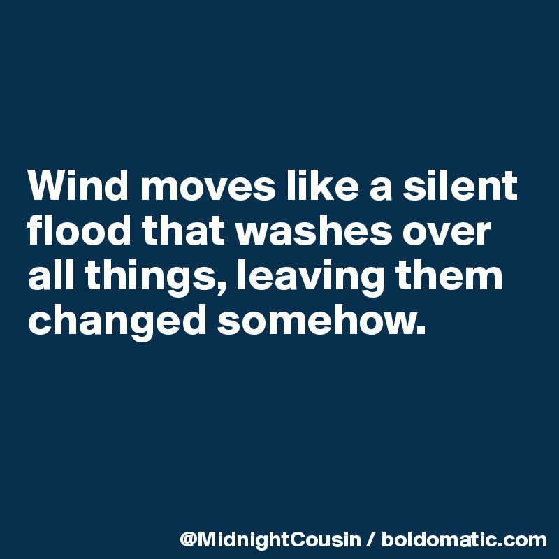 


Wind moves like a silent flood that washes over all things, leaving them changed somehow.



