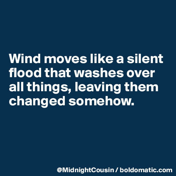 


Wind moves like a silent flood that washes over all things, leaving them changed somehow.



