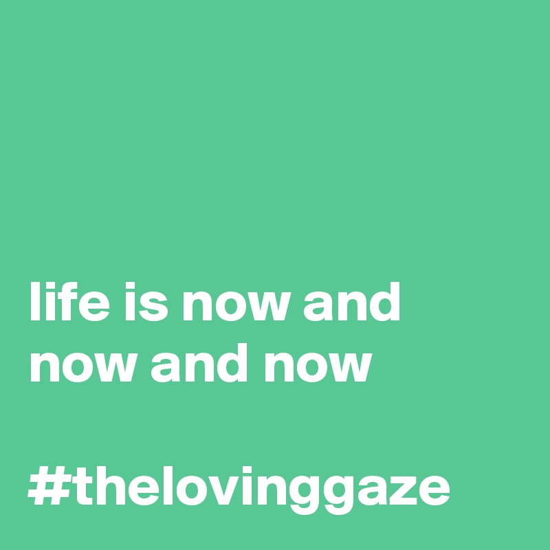 



life is now and now and now

#thelovinggaze