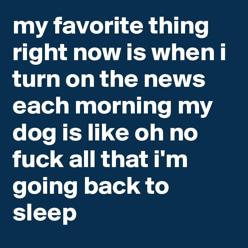 my favorite thing right now is when i turn on the news each morning my dog is like oh no fuck all that i'm going back to sleep