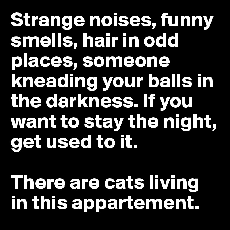 Strange noises, funny smells, hair in odd places, someone kneading your balls in the darkness. If you want to stay the night, get used to it.

There are cats living in this appartement.
