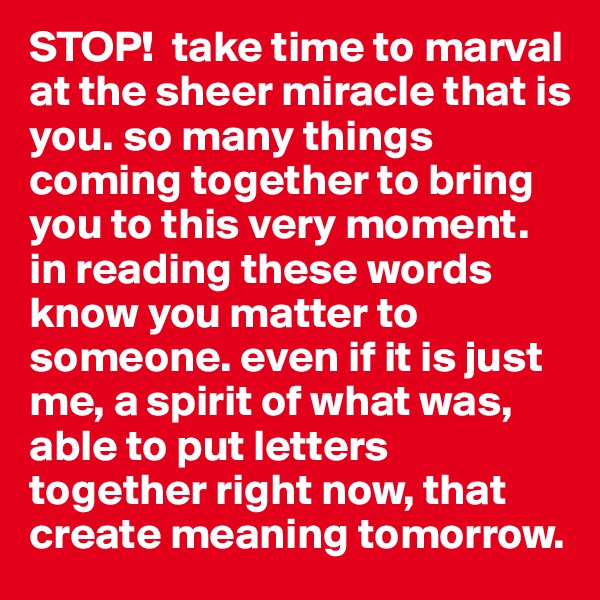 STOP!  take time to marval at the sheer miracle that is you. so many things coming together to bring you to this very moment. in reading these words know you matter to someone. even if it is just me, a spirit of what was, able to put letters together right now, that create meaning tomorrow. 