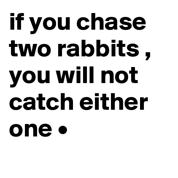 if you chase two rabbits , you will not catch either one •
