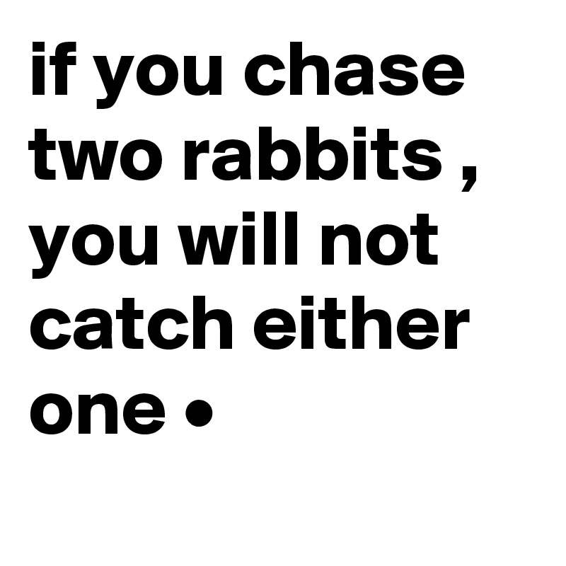 if you chase two rabbits , you will not catch either one •
