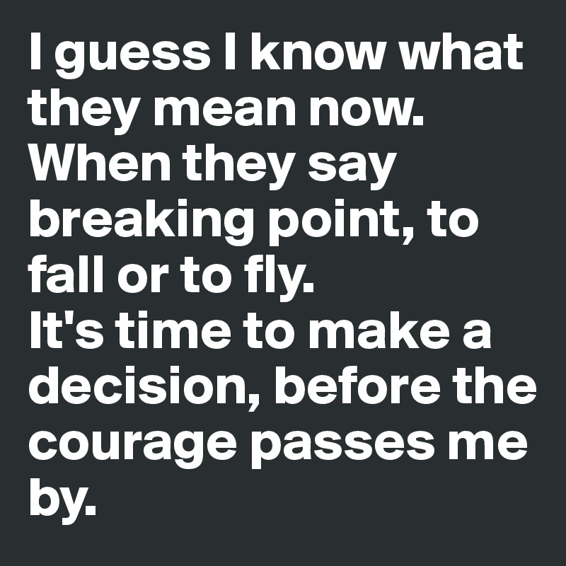 I guess I know what they mean now. 
When they say breaking point, to fall or to fly. 
It's time to make a decision, before the courage passes me by. 
