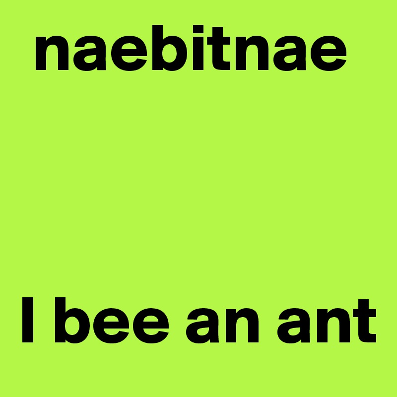  naebitnae 



I bee an ant
