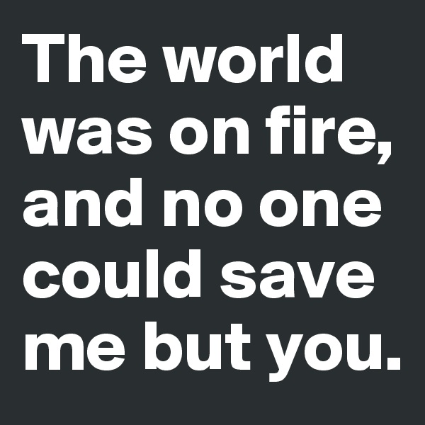 The world was on fire, and no one could save me but you.