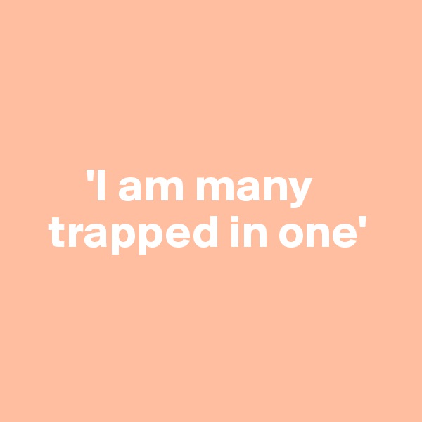 
 

       'I am many    
   trapped in one'


