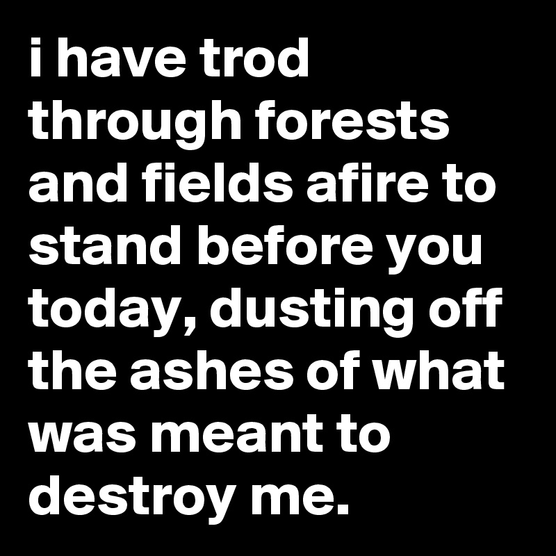 i have trod through forests and fields afire to stand before you today, dusting off the ashes of what was meant to destroy me. 