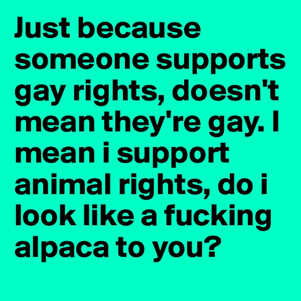 Just because someone supports gay rights, doesn't mean they're gay. I mean i support animal rights, do i look like a fucking alpaca to you? 